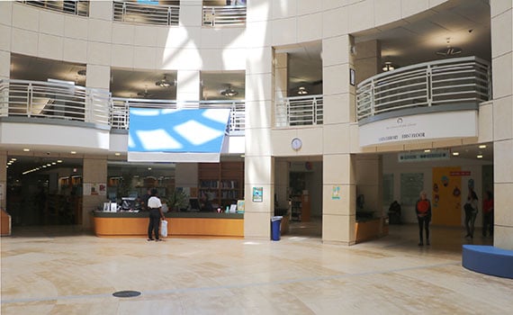 san francisco public library walking tours